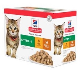 Hills Feline kapsa Kitten Chicken&Turkey