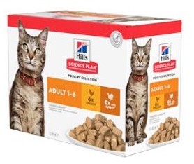 Hills Feline kapsa Adult Chicken