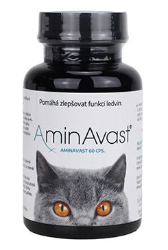 AminAvast Cat