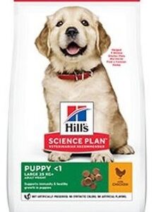 Hills Canine Dry Puppy Large Chicken