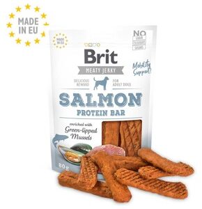 Brit Jerky Salmon Protein Bar