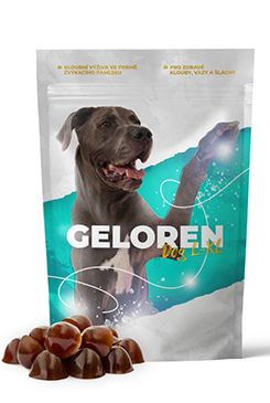 Geloren Dog