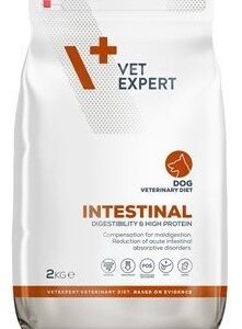 VetExpert VD 4T Intestinal Dog