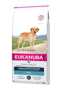 Eukanuba Dog Breed Labrador Retriever