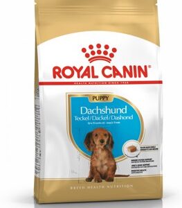 Royal Canin Breed Dachshund Puppy