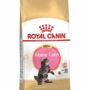 Royal Canin Breed Maine Coon Kitten