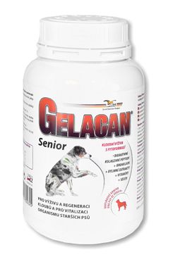 Gelacan Senior