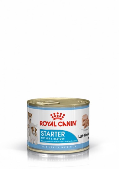 Royal Canin Starter Mousse konzerva