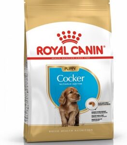 Royal Canin Breed Cocker Puppy