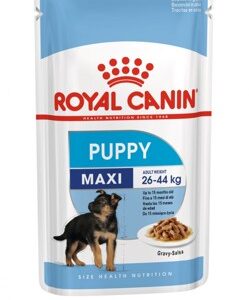 Royal Canin Maxi Puppy kapsička