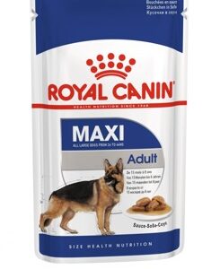 Royal Canin Maxi Adult kapsička