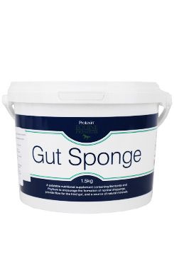 Protexin Gut Sponge pro koně