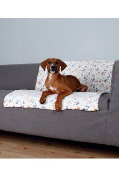 Deka pro psy LINGO bílo/béžová