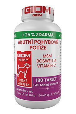 Giom S Akutní pohybové potíže